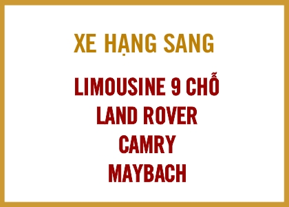 bang-gia-thue-xe-limousine-9-cho-dcar-intro image Thuê xe dòng Cao Cấp